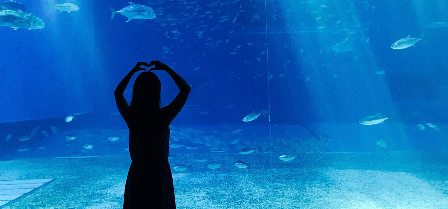 Une personne debout au milieu des poissons